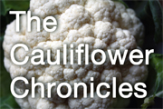 All cauliflower recipes
